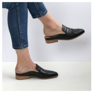 Eden Mule Dr Scholl's